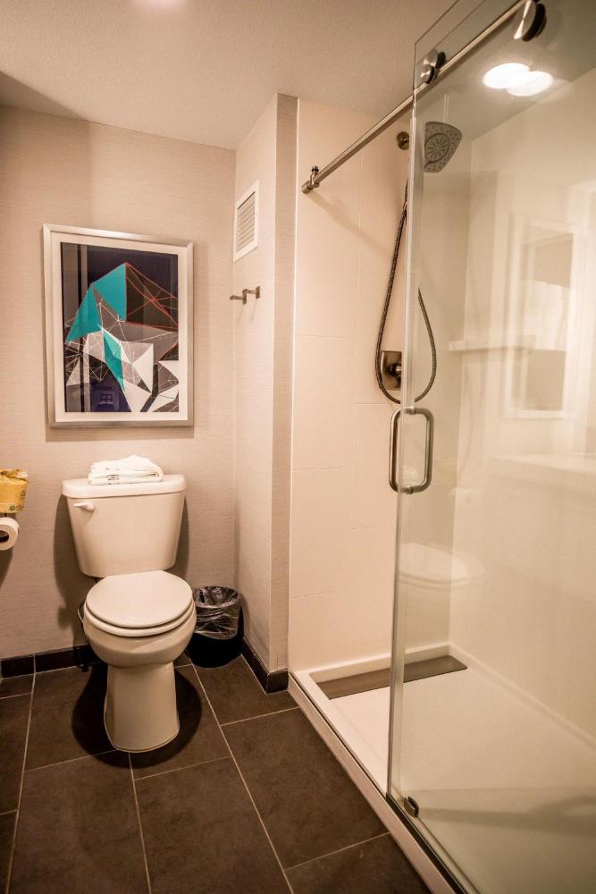 Standard King Room with Walk In Shower and City View interior